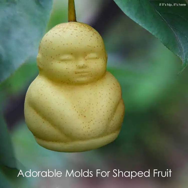 Grow Your Own Fun Shaped Fruit Molds For Pears Apples Melons And More If It S Hip It S Here