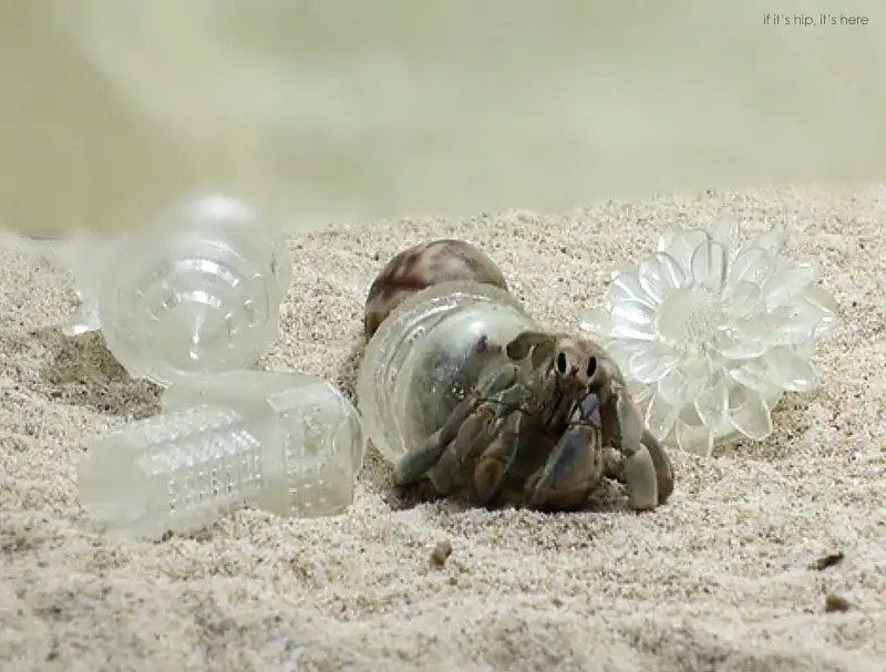 Hermit Crabs Don 3D-Printed Cityscapes as Shells for a Project about ...