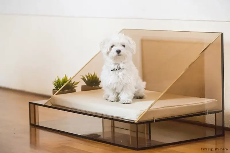 Outrageously Modern Designer Dog Beds by Cucce d' Arredo If It's Hip