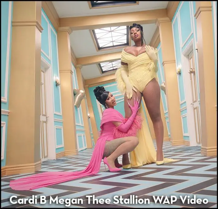 Cardi B & Megan Thee Stallion WAP INSPIRED HAIR TUTORIAL